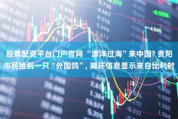 股票配资平台门户官网 “漂洋过海”来中国? 贵阳市民捡到一只“外国鸽”, 脚环信息显示来自比利时