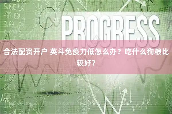 合法配资开户 英斗免疫力低怎么办？吃什么狗粮比较好？